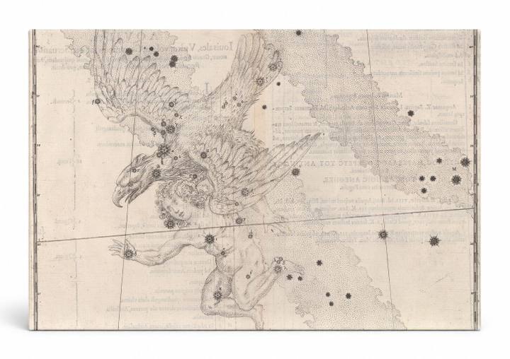 Aquila (1603)