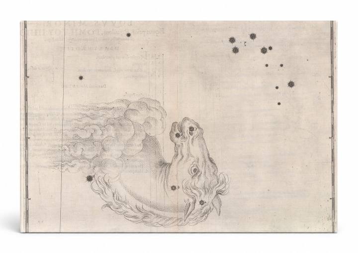Equuleus (1603)