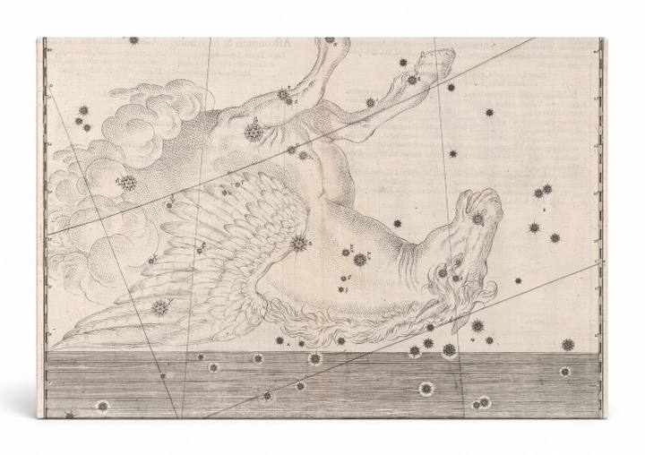 Pegasus (Uranometria, 1603)