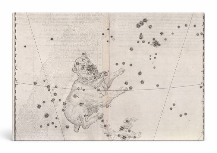 Uranometria – Canis Major (1603)