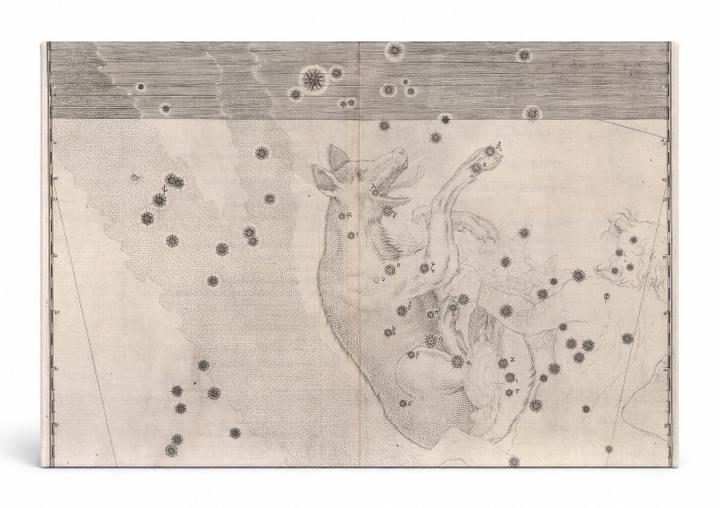 Uranometria – Lupus (1603)