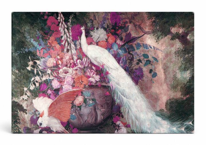 White Peacock and Cockatoo