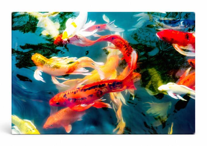 Bourbeau Koi Pond