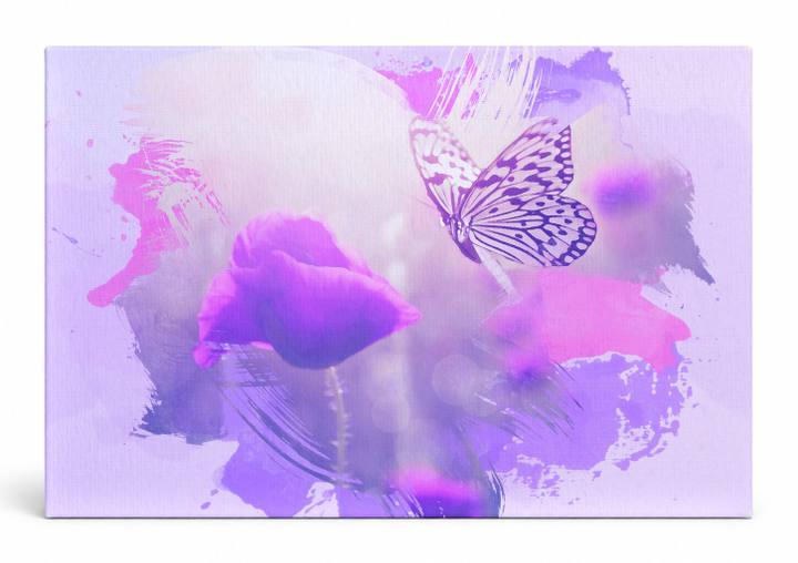Butterfly and Purple Poppies