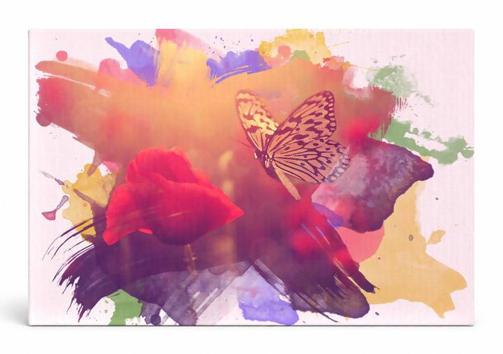Butterfly and Red Roses