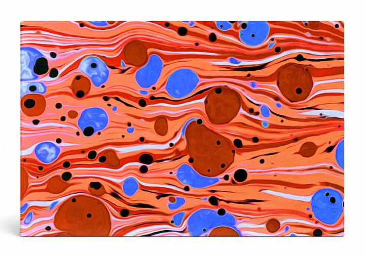 Abstract Fluid Marbled Forms