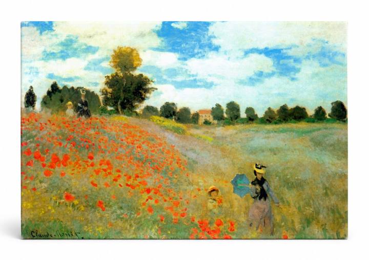 Wild Poppies, near Argenteuil (1873)