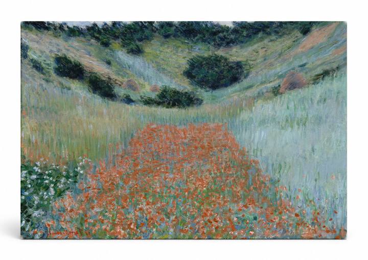 Poppy Field in a Hollow near Giverny (1885)