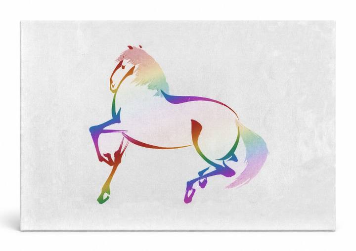 Rainbow Horse