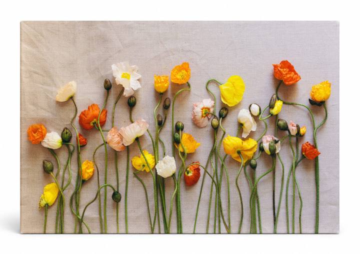 Poppy Flatlay in Orange and Yellow