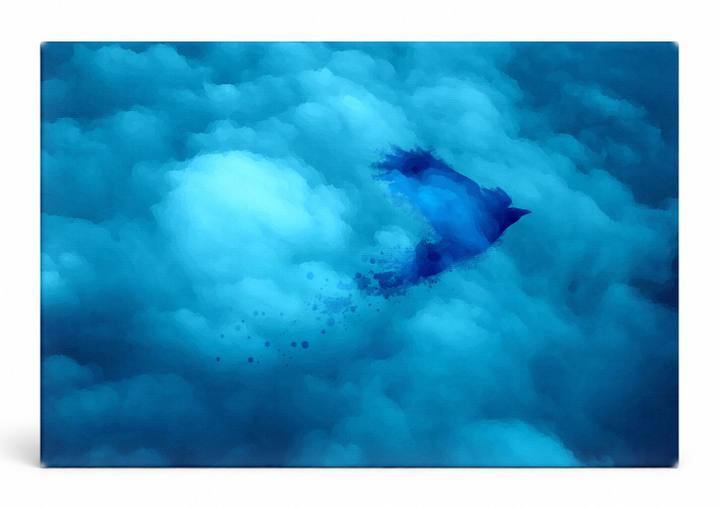 Blue Bird in the Clouds