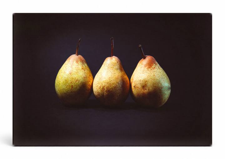 Three Pears Still Life