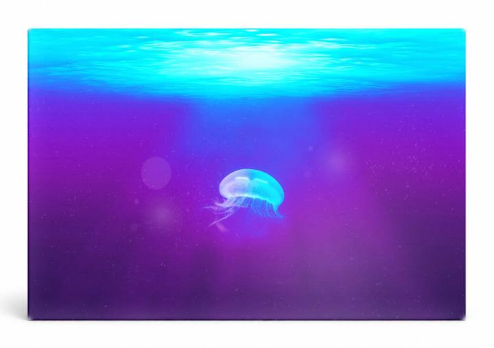 Jellyfish in Deep Ocean