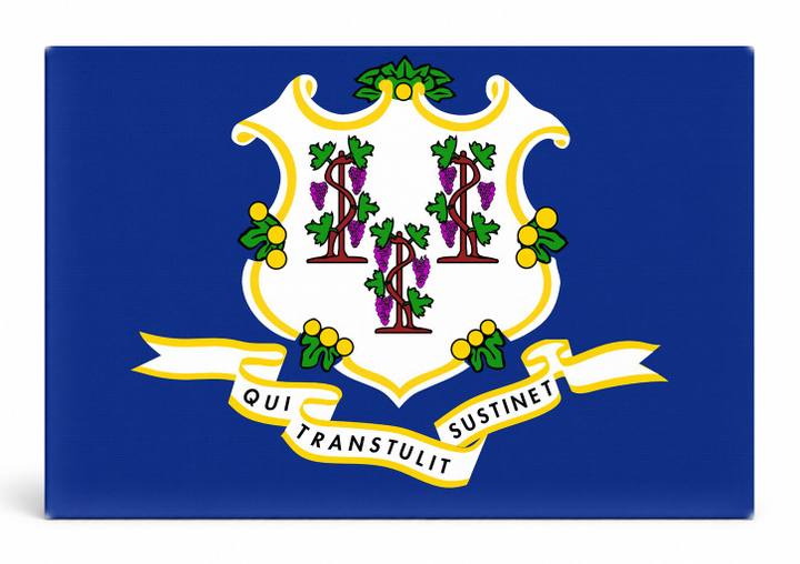 Connecticut State Flag