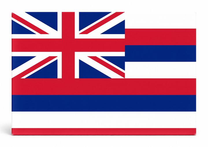 Hawaii State Flag