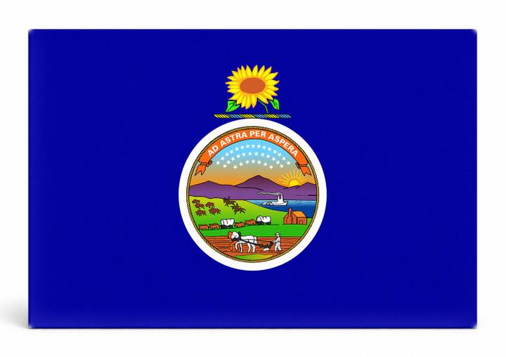 Kansas State Flag