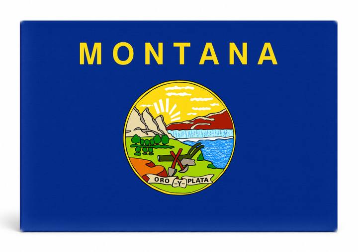 Montana State Flag