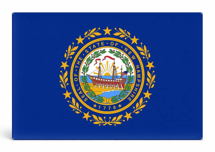 New Hampshire State Flag