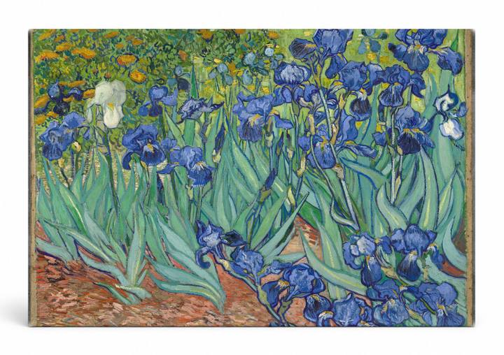Irises (1889)