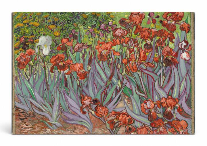 Irises (1889)