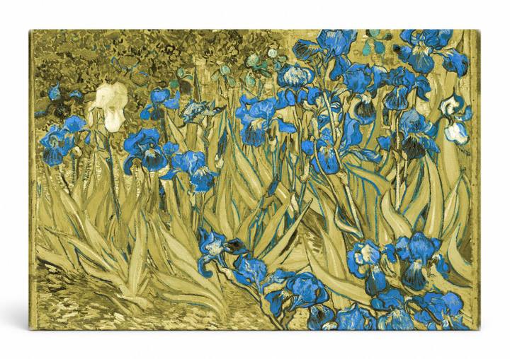 Irises (1889)