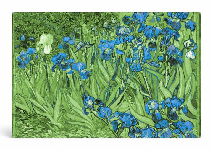 Irises (1889)