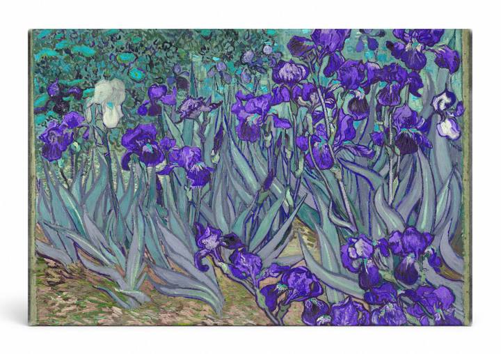 Irises (1889)