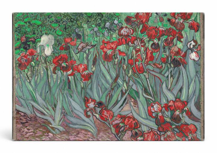 Irises (1889)