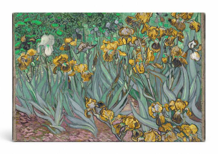 Irises (1889)
