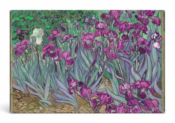 Irises (1889)