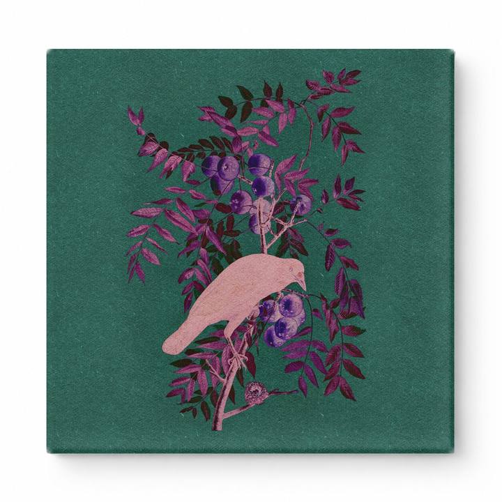 Bird on Berry Branch