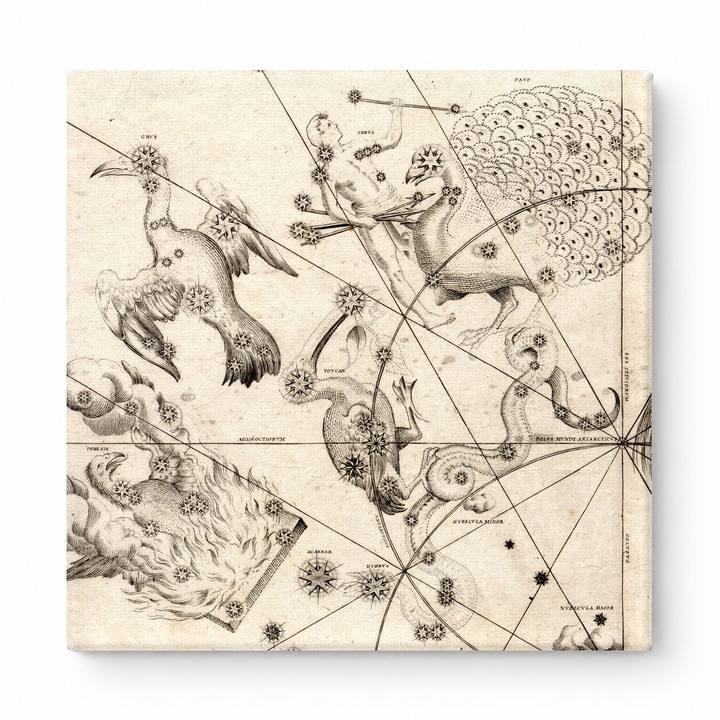 Uranometria — Southern Birds Plate (1603)