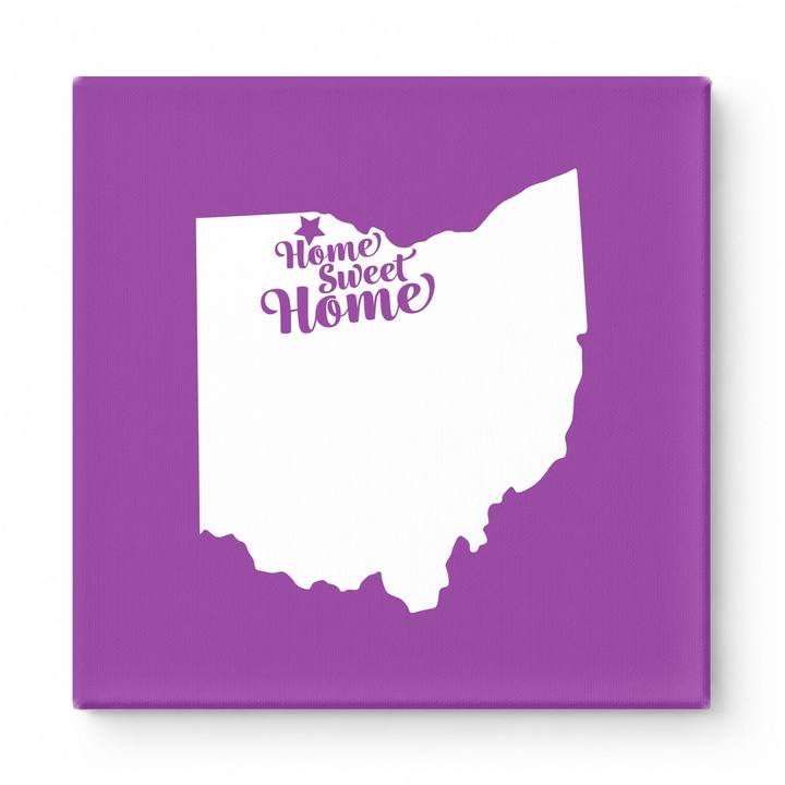 Home Sweet Toledo — Ohio State Silhouette