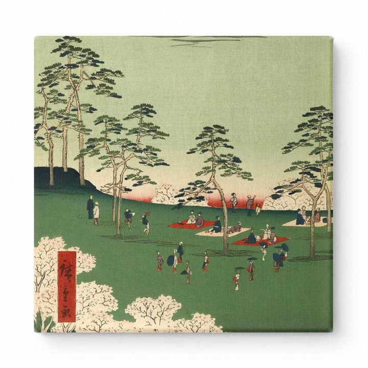 Cherry Blossom Viewing at Asukayama