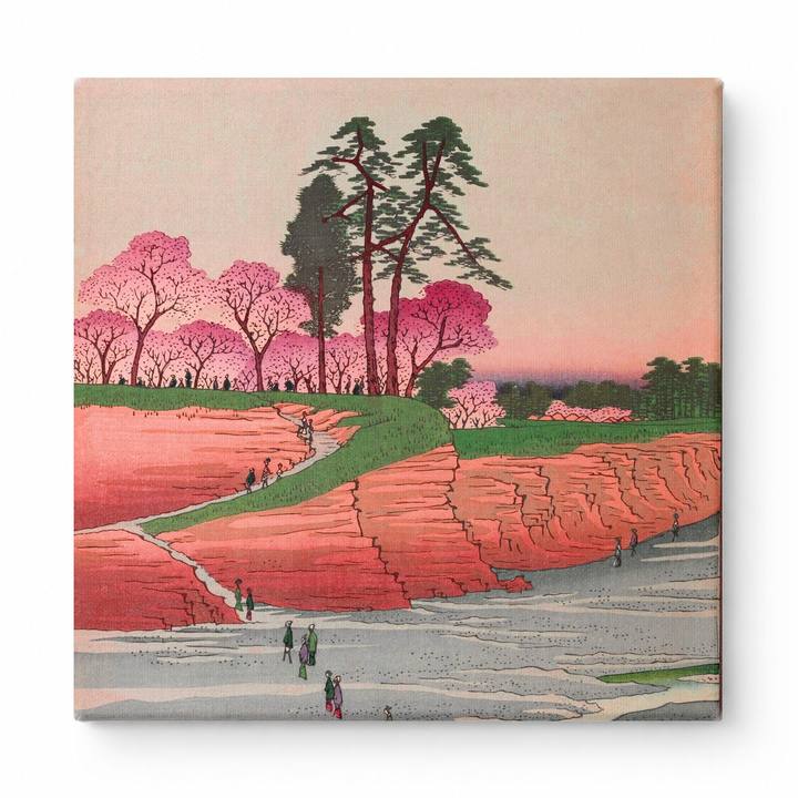 Asuka Hill (Ōji Asukayama)