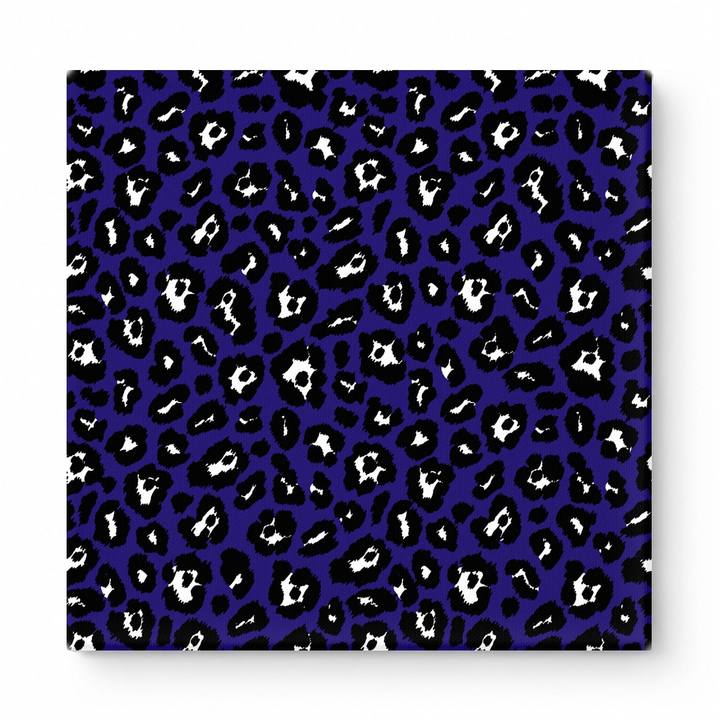 Navy & White Leopard — National Football Teams