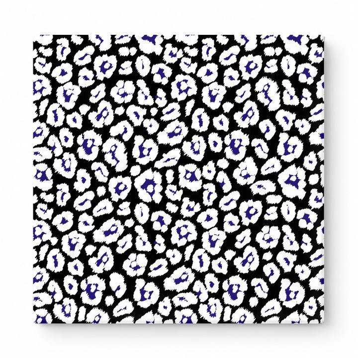 Black & White Leopard — National Football Teams