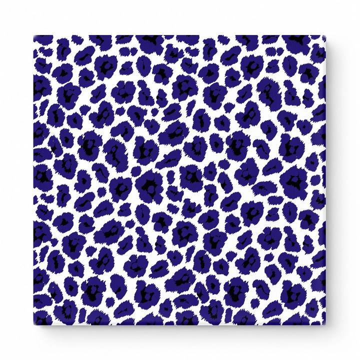 Navy & White Leopard — National Football Teams