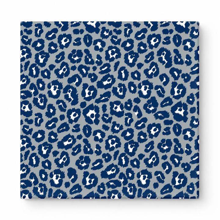 Navy & Gray Leopard — National Football Teams