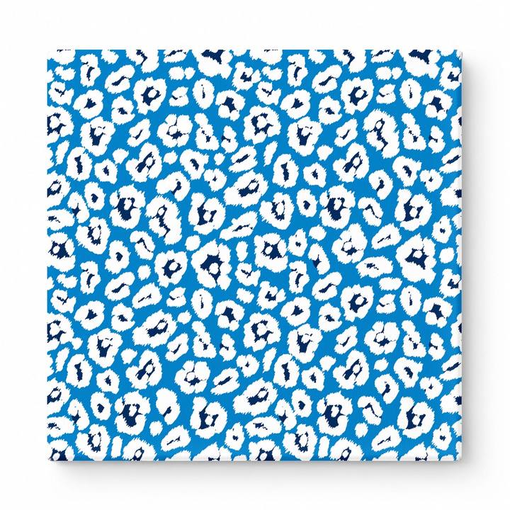 Royal Blue & White Leopard — National Football Teams