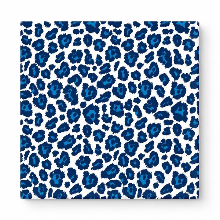 Navy & White Leopard — National Football Teams