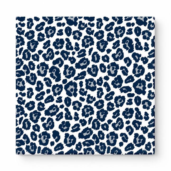 Navy & White Leopard — National Football Teams