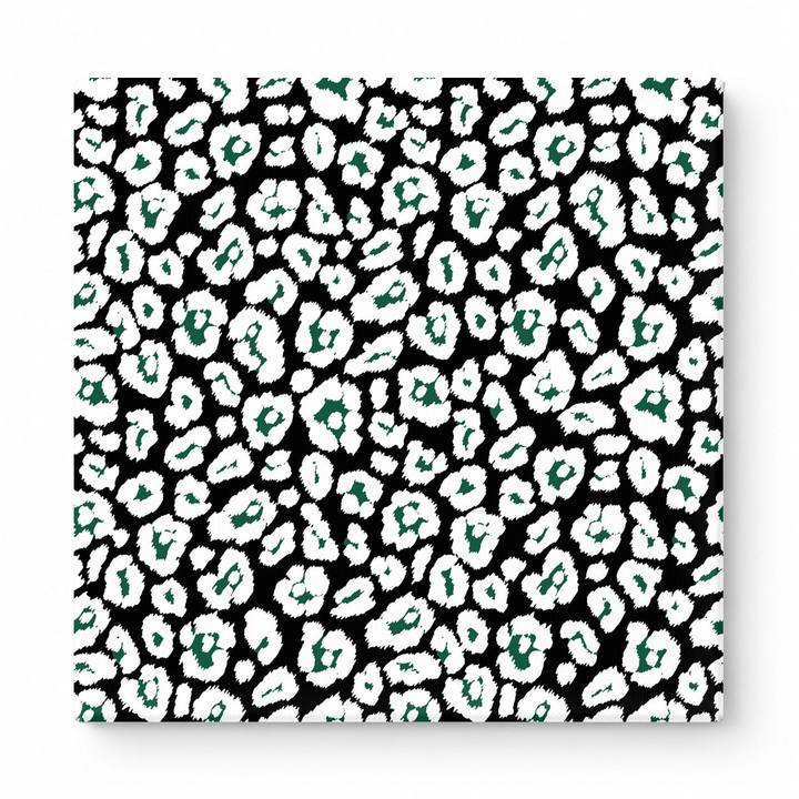 Black & White Leopard — National Football Teams
