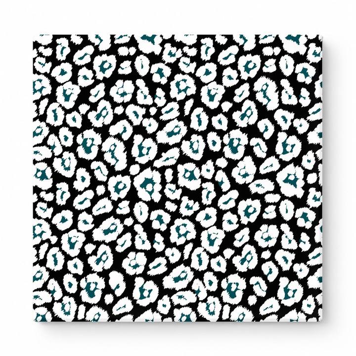 Black & White Leopard — National Football Teams