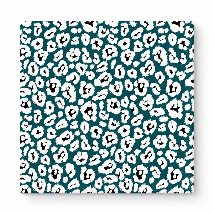 Teal & White Leopard — National Football Teams