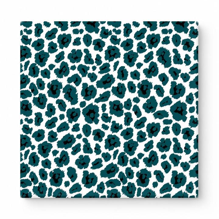Teal & White Leopard — National Football Teams