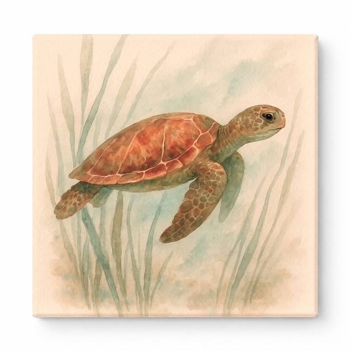 Seagrass Journey