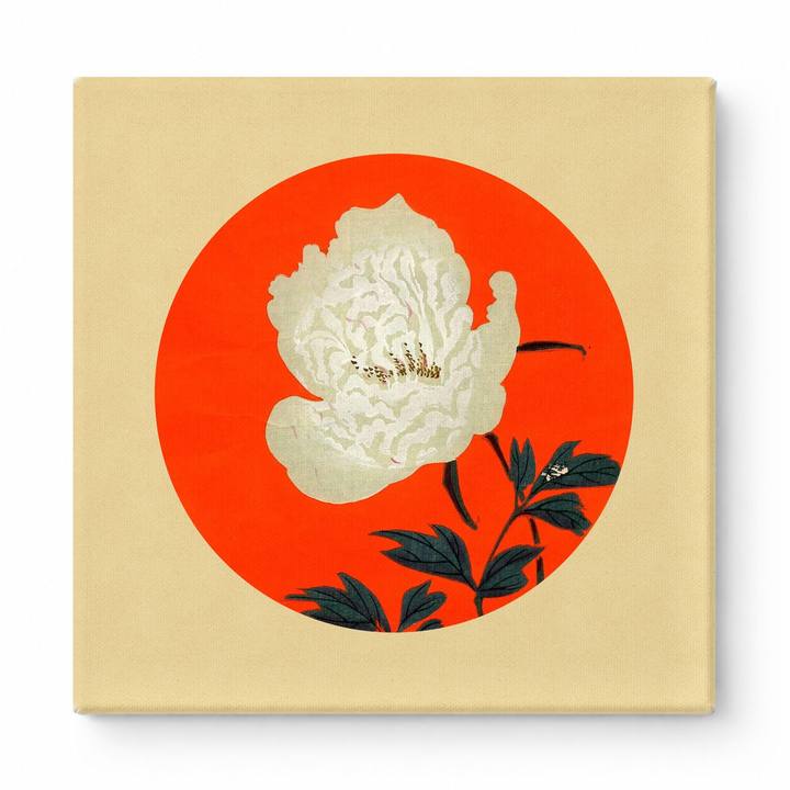 White Peony on Red Circle