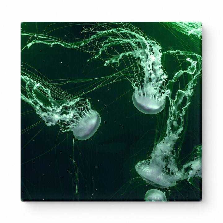 Glowing Jellyfish in Deep Green