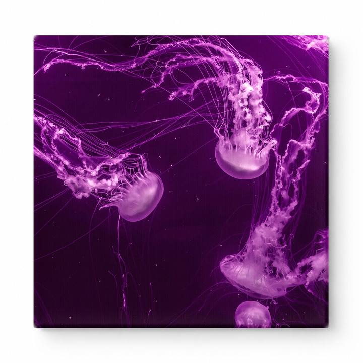 Glowing Jellyfish in Purple Light